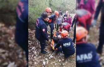 Hayvan otlatırken kayalıklardan düştü