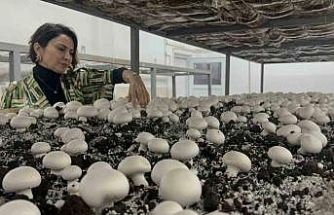 Hem eğitim görüp hem üretiyorlar