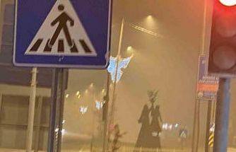 Iğdır’da gece saatlerinde yoğun sis etkili oldu