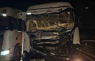 İki tır ve otomobilin çarpıştığı kazada bir kişi yaralandı