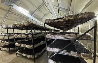 İlçenin ekonomisine yeni soluk