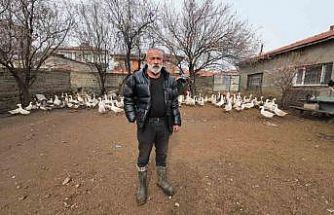 İstanbul’dan memleketi Yozgat’a döndü, binlerce hayvan üreterek geçimini sağlıyor