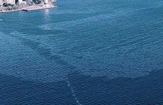 İzmir Körfezi’nde çevre kirliliği