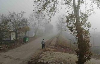 Kahramanmaraş’ta sis etkili oldu