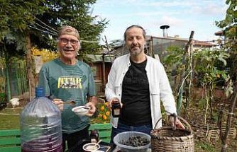 Kanser hücrelerinin oluşumunu önleyen kokulu üzümün üretimi arttırılacak