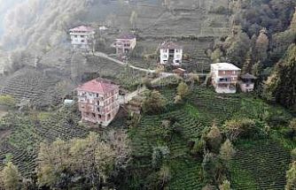 Karadeniz’de tuğlalı yapılar hem göze hem de cebe zarar