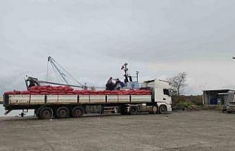 Karadeniz’den çıkartılan beyaz kum midyesine sıkı denetim