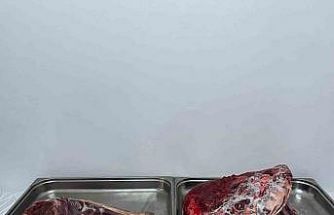 Karaman’da yaban keçisi avlayan şahıslara 954 bin 208 lira ceza