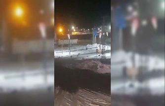 Karayazı’da akşam saatlerinde kurt alarmı