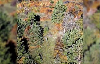 Kastamonu’da dron ile tespit edilen 4 kaçak avcıya cezai işlem