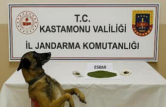 Kastamonu’da uyuşturucu operasyonu: 1 tutuklama