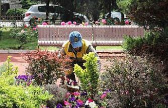 Keçiören’de seradan parklara uzanan yeşil yolculuk