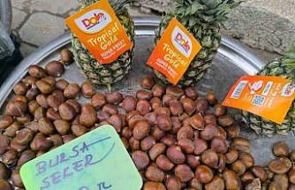 Kestane fiyatıyla yüzleri güldürdü