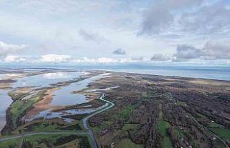 Kızılırmak Deltası’nda yer altı suları beslenemiyor: Her yıl su seviyesi düşüyor