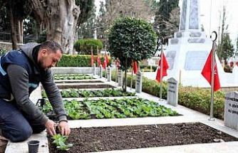 Kocaeli’de şehitliklerde bakım ve çiçeklendirme çalışması