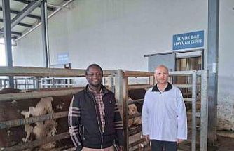 Kocaeli’deki mezbaha tesisi İslam ülkelerine örnek gösterildi