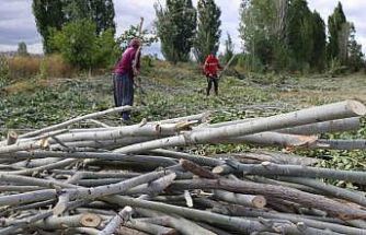 Kömür pahalı, odun umut: Erzincan kırsalında kış mesaisi