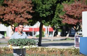 Konyaaltı’nda mevsimlik çiçek ekimi