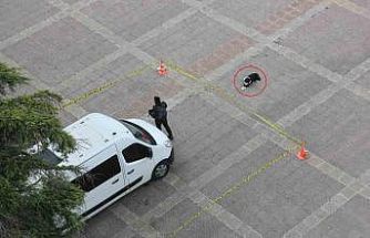 Köpekten örnek davranış: Polis şeridini ihlal etmedi