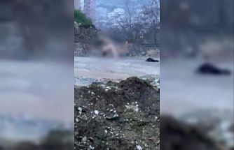 Köprü altında akıllara durgunluk veren görüntüler