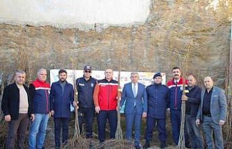 Köşklü üreticilere kestane fidanı dağıtıldı