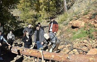 Köyceğiz’de Ormancılık Yüksek Okulu öğrencileri saha uygulamalarına katıldı