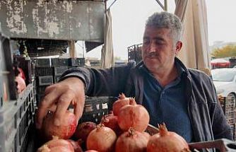 Kuraklık Zivzik narında verimi yarı yarıya düşürdü