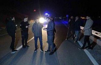 Malatya’da kaçan yarış atları karayoluna çıktı: 6 at telef oldu, 2 kişi yaralandı