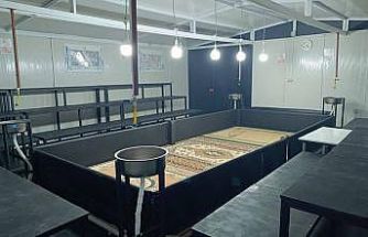 Manisa’da horoz dövüşüne jandarmadan baskın