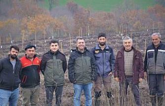 Manyas’ta orman köylüsüne gelir getirici ağaçlandırma