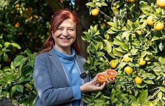 Mersin kan portakalında hedef AB tescili