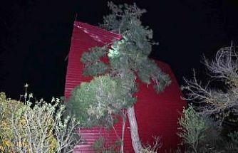 Mersin’de şiddetli rüzgar çatıyı uçurdu, asırlık meşeyi devirdi