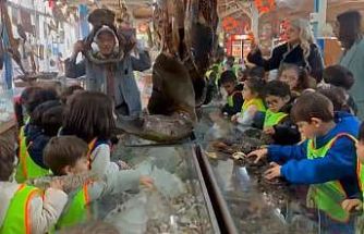Minikler mumya balıkları büyük bir ilgiyle inceledi