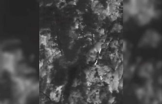 Muğla’da yaban hayatına "dron" kalkanı