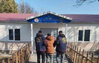 Muş’ta 2 yıl hapis cezası bulunan hükümlü yakalandı