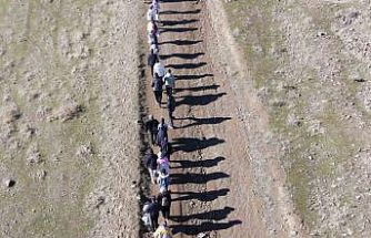 Muş’ta "Adımlarla Keşfet" projesi kapsamında doğa yürüyüşü