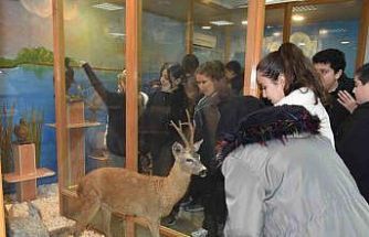 Öğrenciler hayvan müzesini ilgi ile gezdi