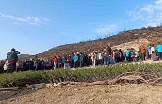 Öğrenciler, orman yangınında zarar gören alana fidan dikti