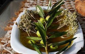 Oleolog Dr. Kıvrak: "Erken ve olgun hasat zeytinyağları farklı içeriklere sahiptir"