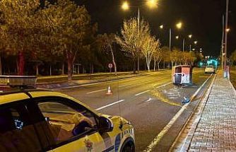 Önüne köpek çıkan araç yan yattı: 2 yaralı