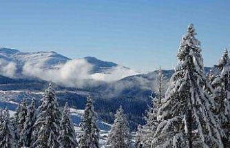 Ordu’da kartpostallık kar manzaraları