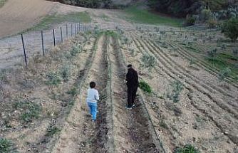 Osmaniye’de depremi yaşadı, toprağa tutundu