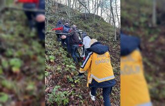 Otomobil ormanlık alana uçtu, 2 yaralı