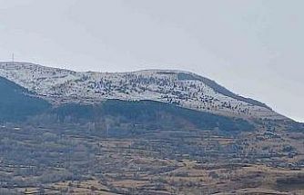 Posof kar yağışı sonrası beyaza büründü