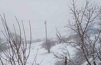 Posof’ta kar yağışı etkili oluyor