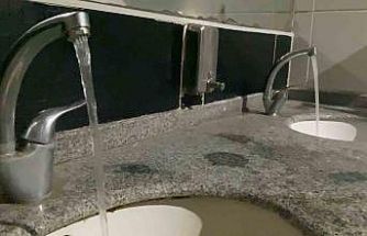 Salmonella enfeksiyonuna karşı altın kuralları uzmanı açıkladı