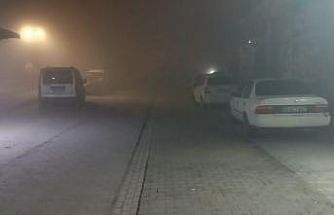 Şanlıurfa’da gece boyu yoğun sis etkili oldu
