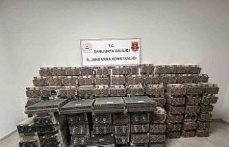 Şanlıurfa’da kripto para madenciliği operasyonu: 2 gözaltı