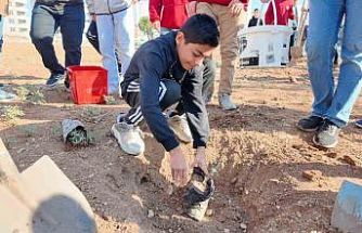 Şanlıurfa’da "Yeşeren Okullar Projesi" ile fidanlar toprakla buluştu