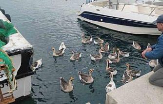 Şarköy’ün maskotu ’Vakvaklar’